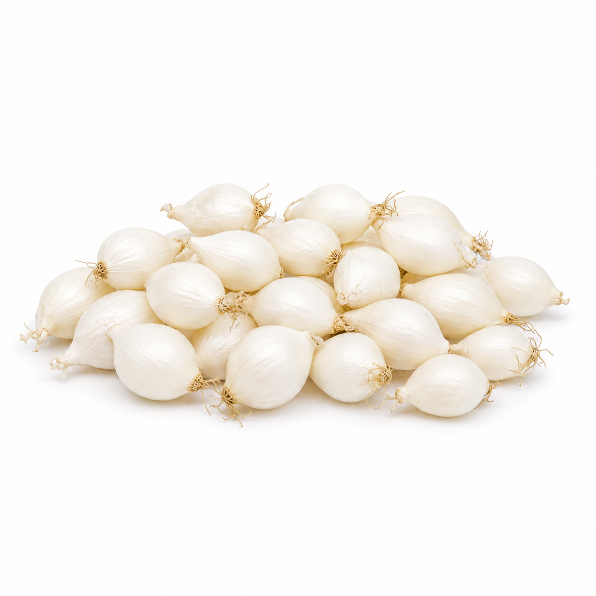 Fresh White Pearl Onions on white background