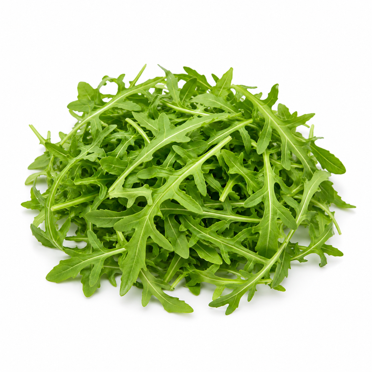 Fresh Wild Rocket Leaves on white background