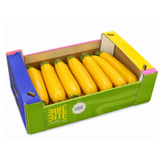 Fresh Yellow Zucchini (4.5-5kg)