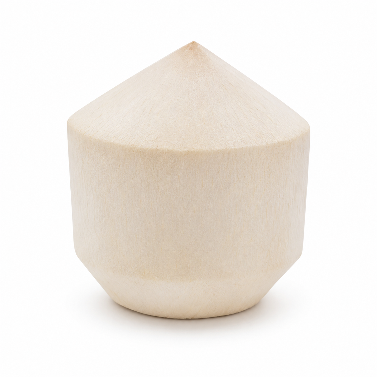 Fresh Young Coconut on white background