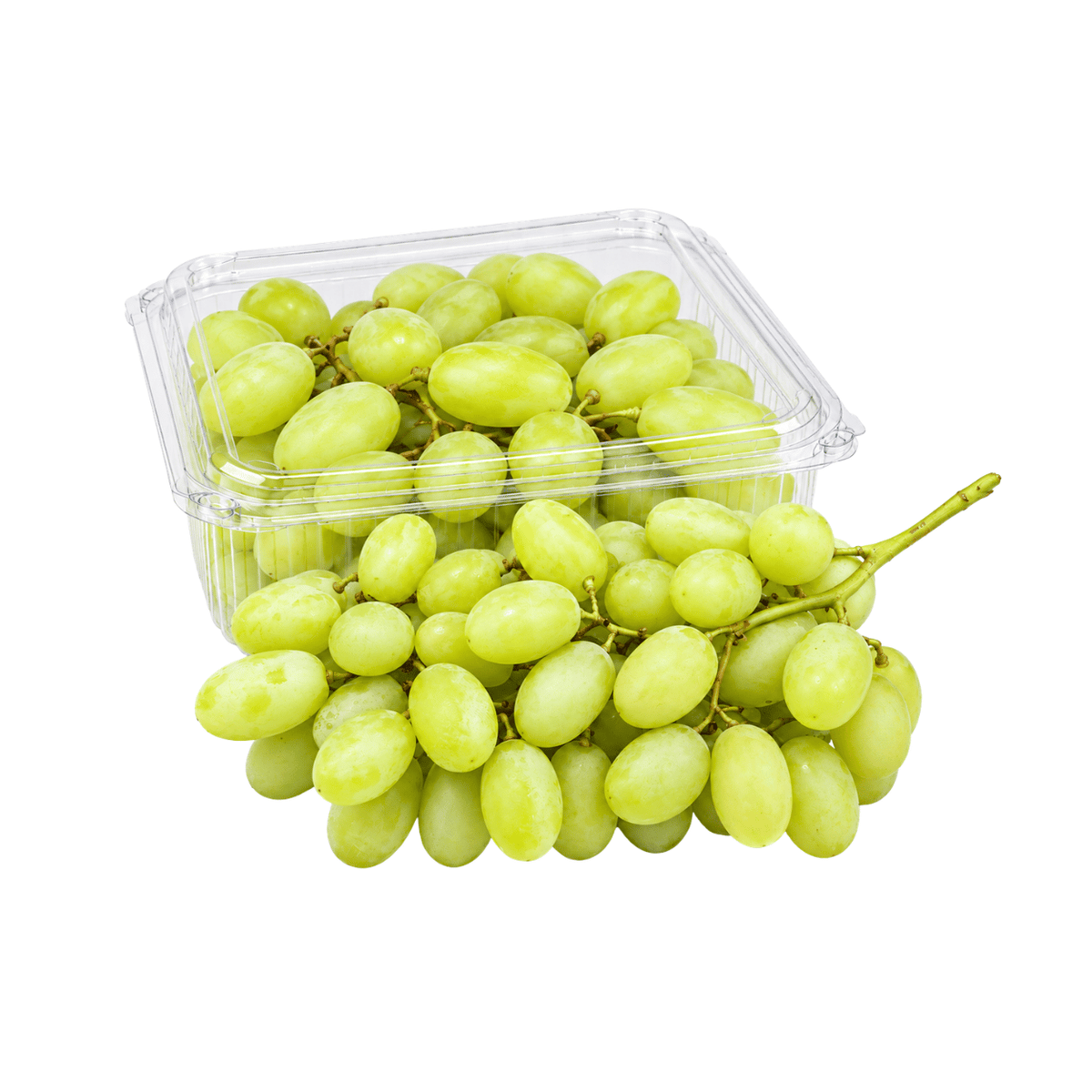 Fresh Green Grapes