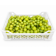 Fresh Green Grapes Box