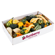 Indian Mix Pumpkin Box