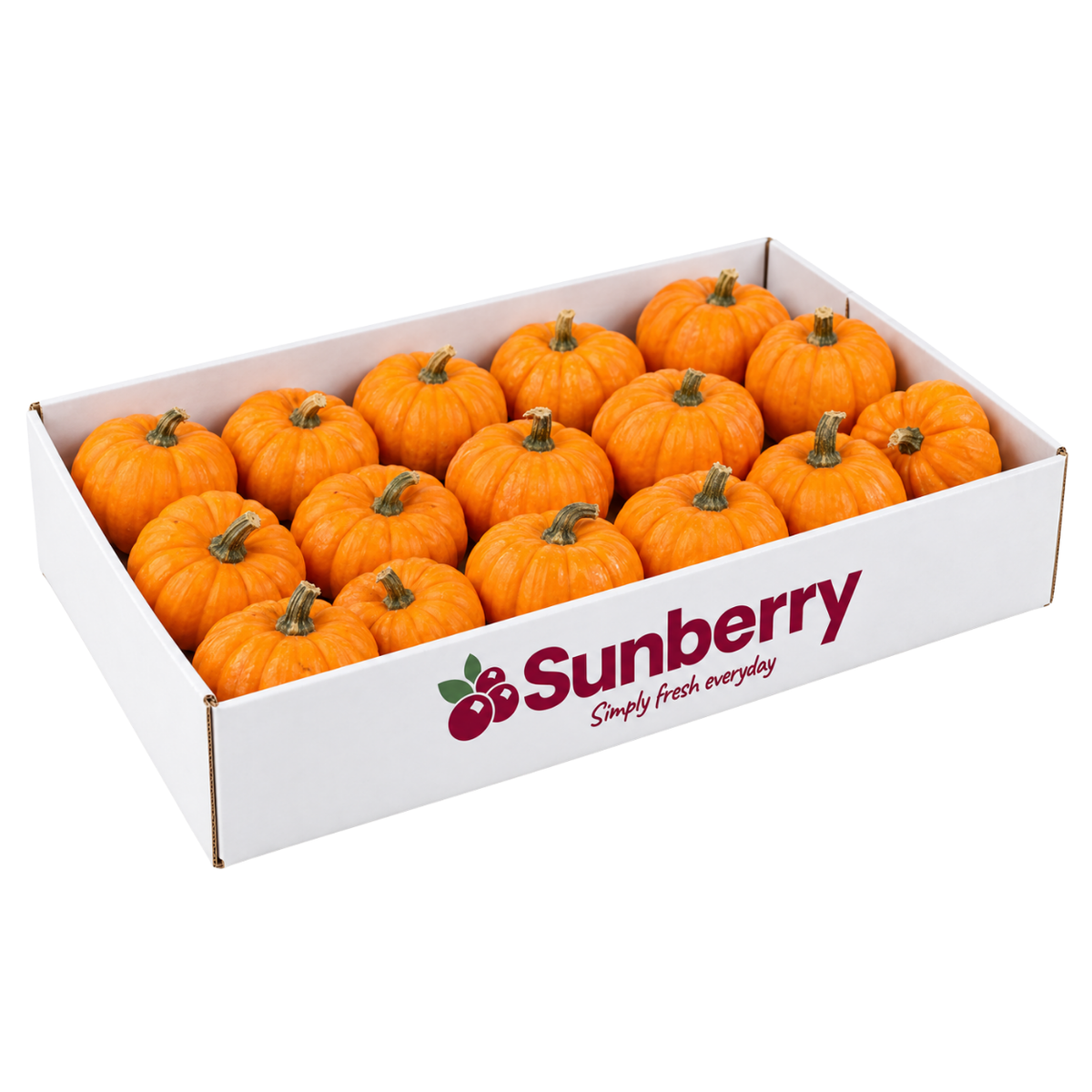 Jack Be Little Pumpkin Box