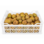 Fresh Kiwi Fruit Box