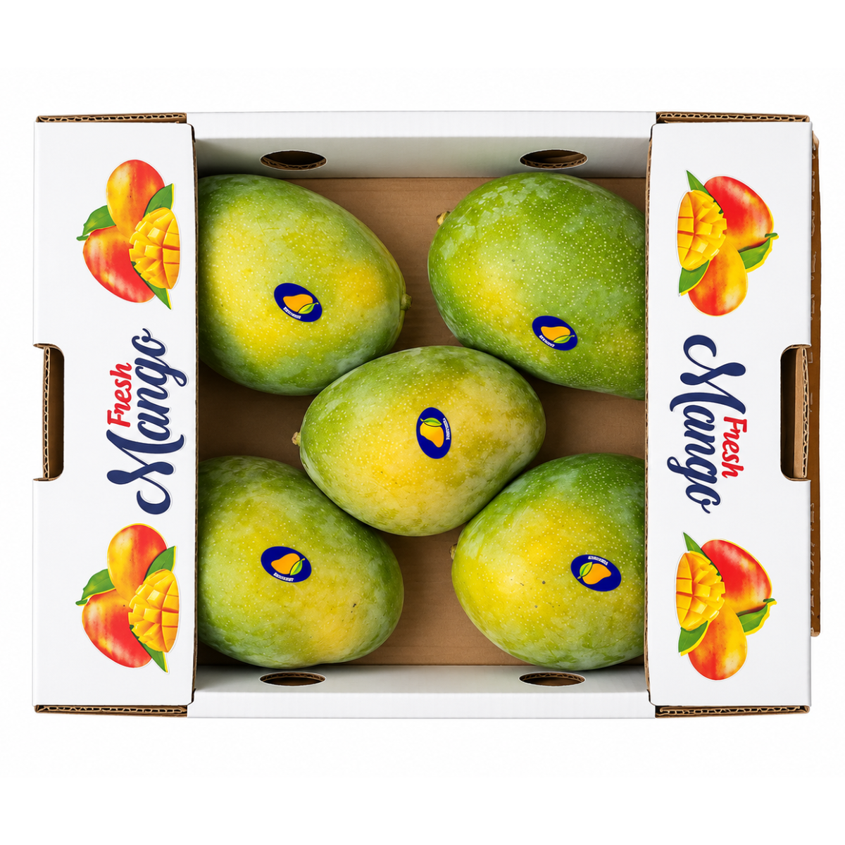 Fresh Mangoes Box