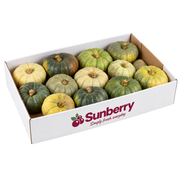 Modern Mix Pumpkin Box