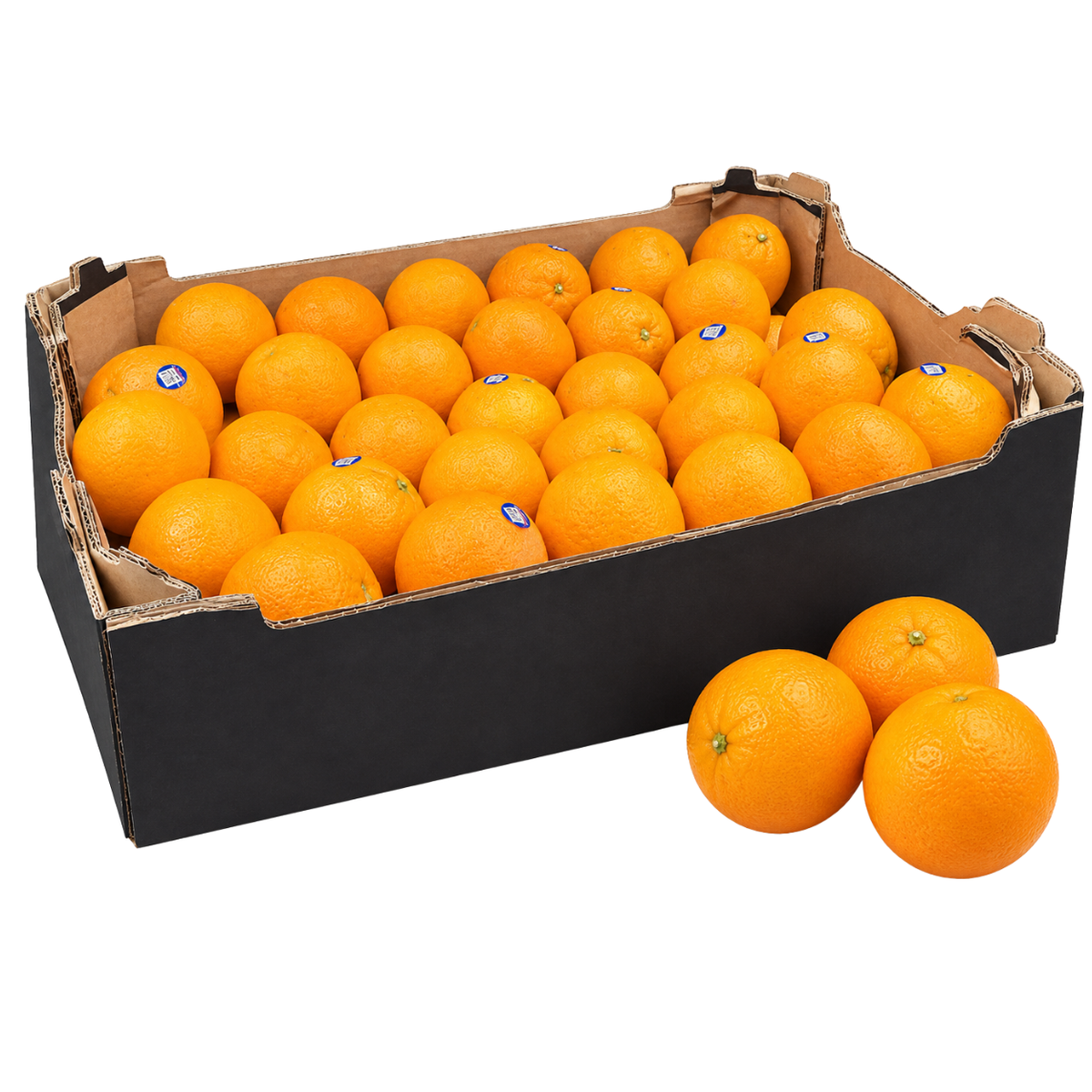 Fresh Navel Oranges Box