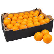 Fresh Navel Oranges Box