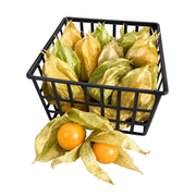 Fresh Physalis (Golden Berries)