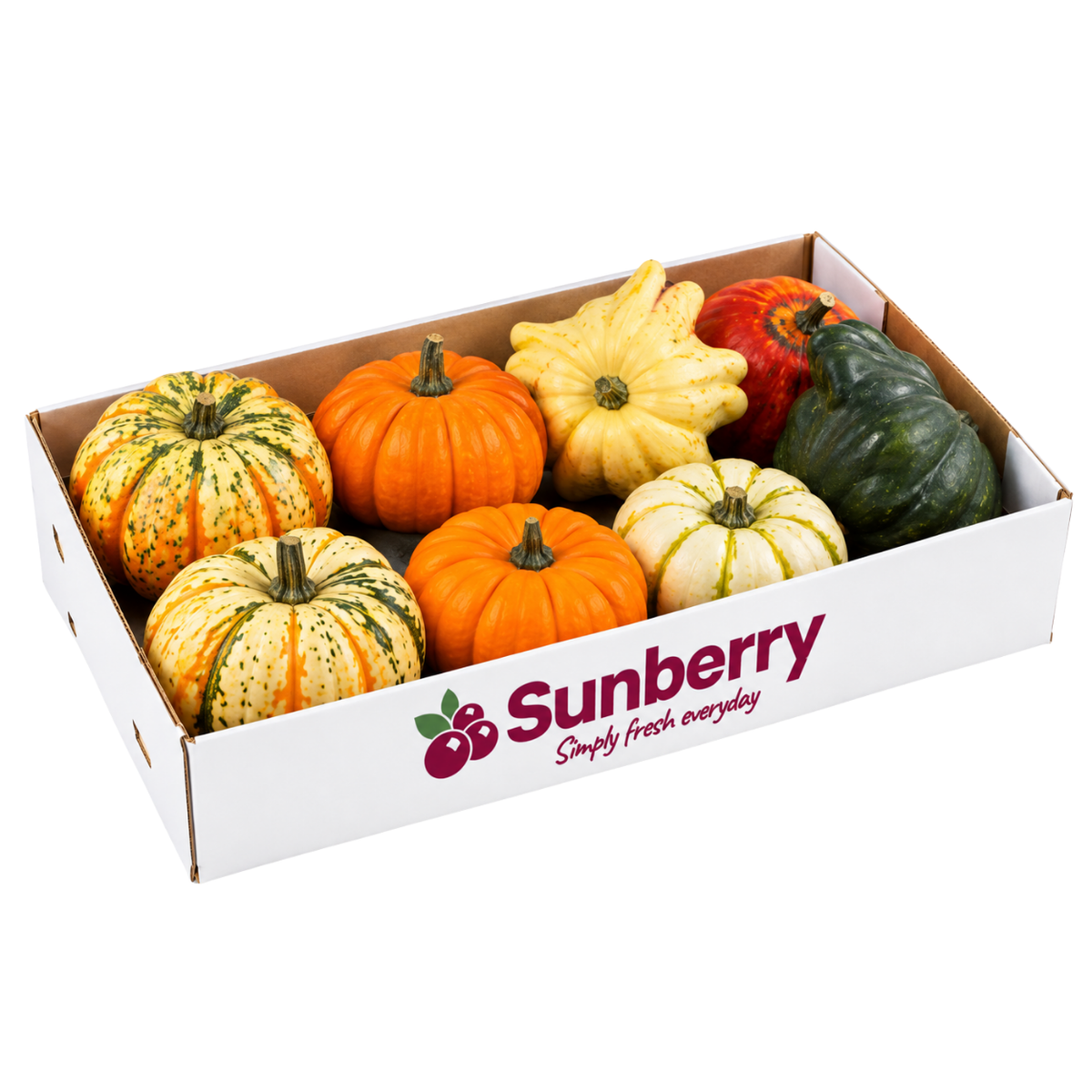 Pompoen Mix Pumpkin Box