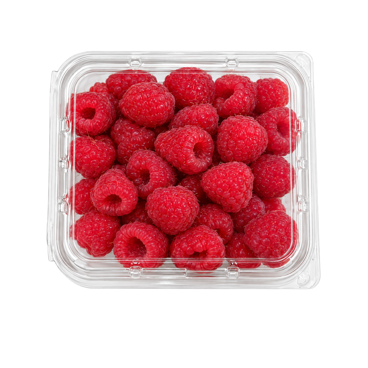 Fresh Raspberries