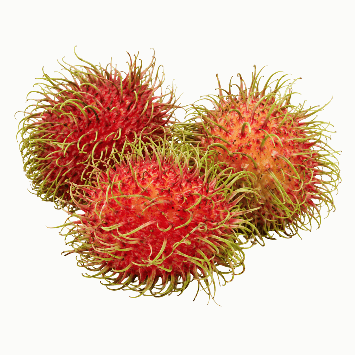 Fresh Rambutan