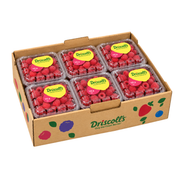 Fresh Raspberries 12—125g Box