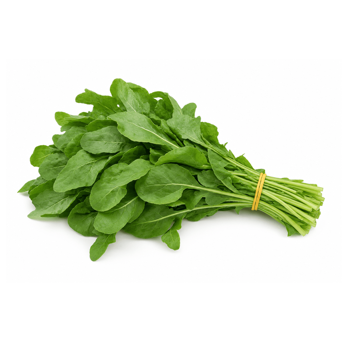 Fresh Rocket Leaves