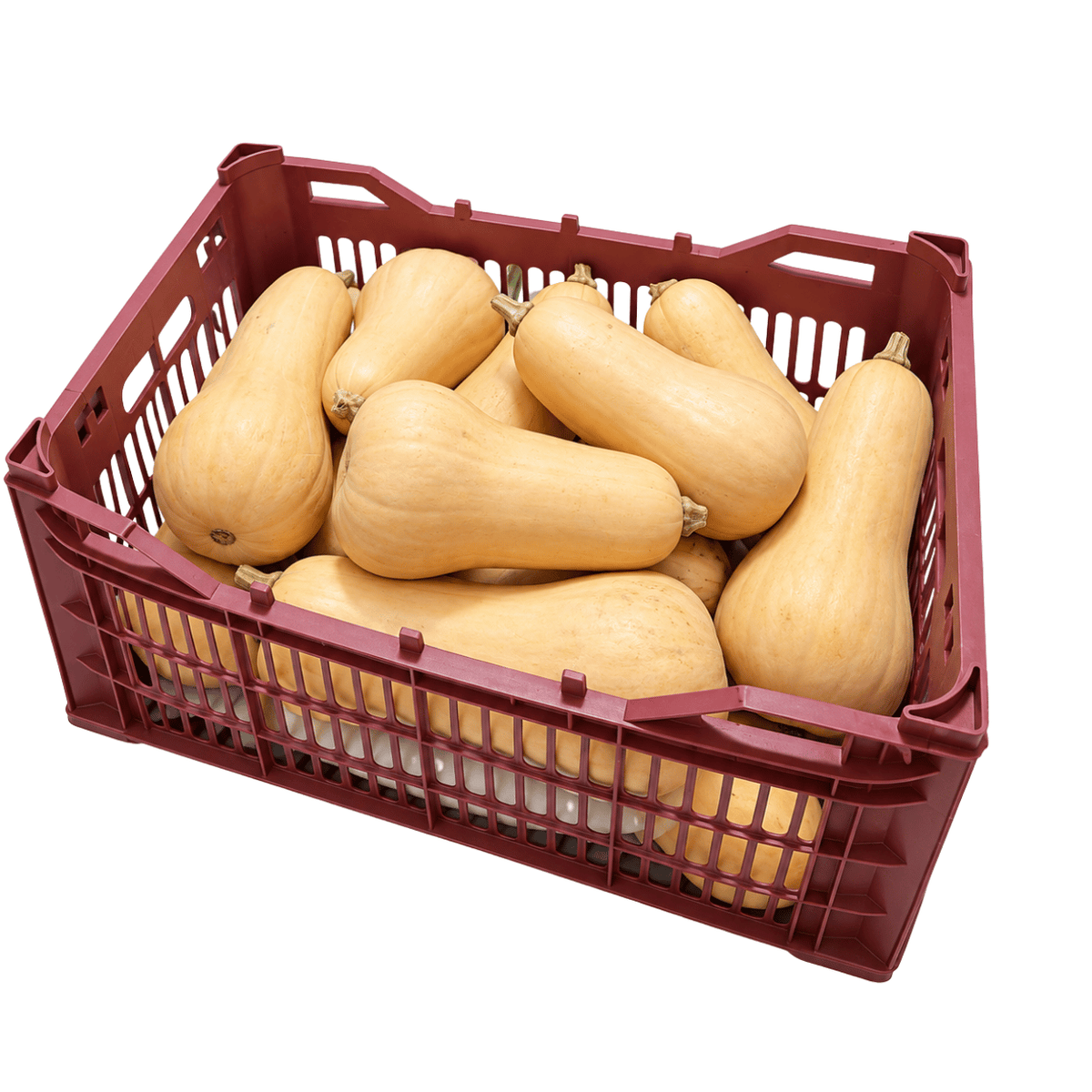 Fresh Butternut Pumpkin Box