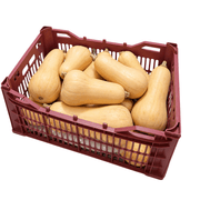 Fresh Butternut Pumpkin Box