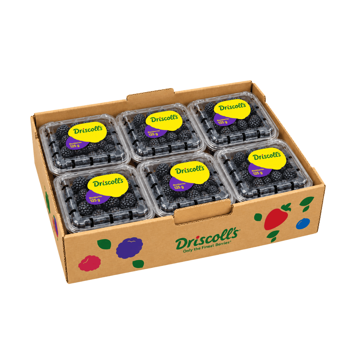 Fresh Blackberries 12×125g Box