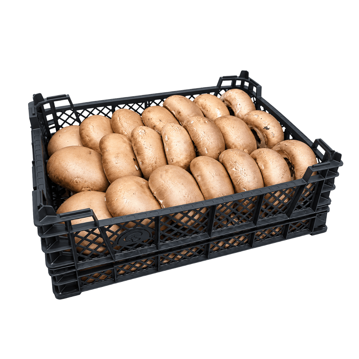 Fresh Portobello Mushrooms Box