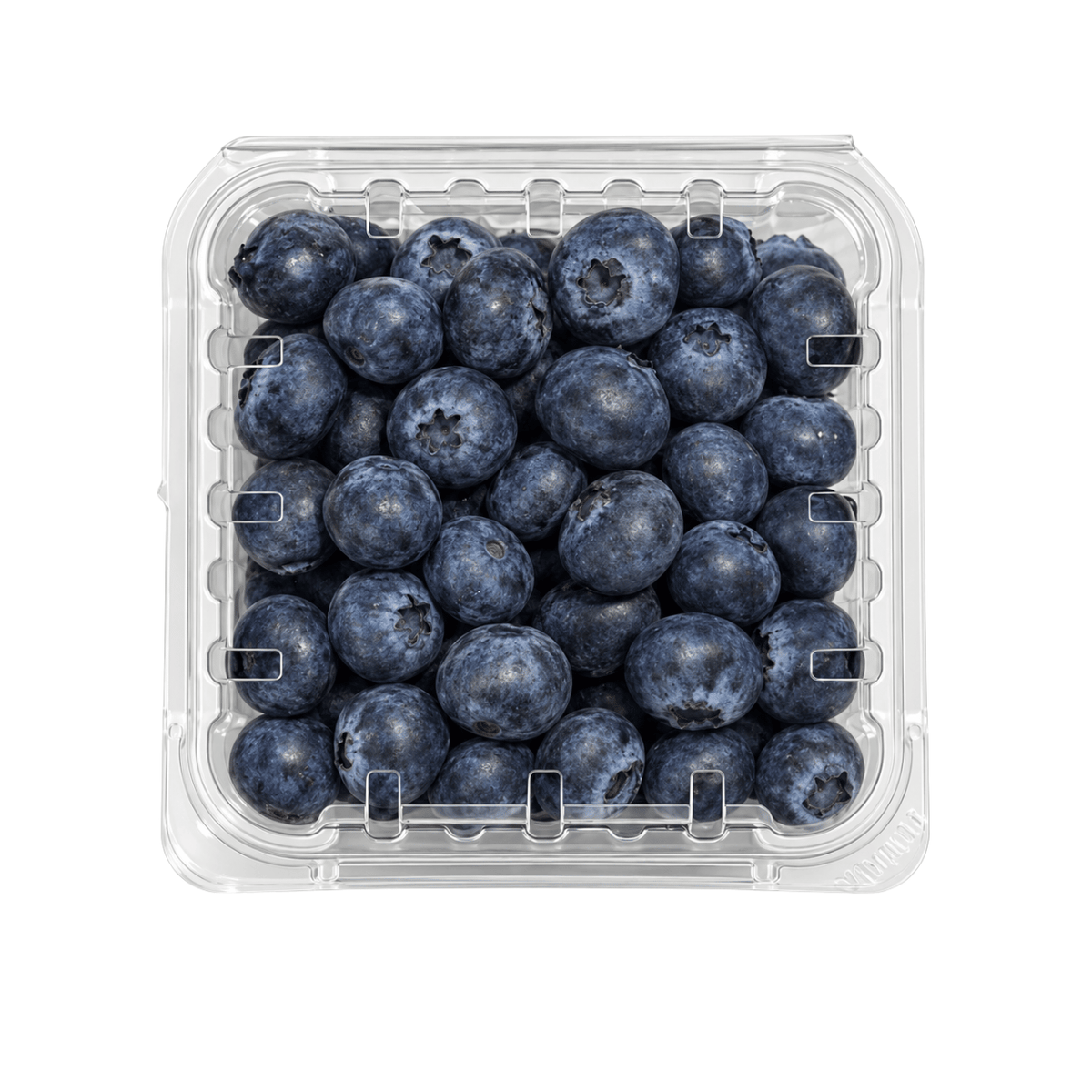 Fresh Blueberries