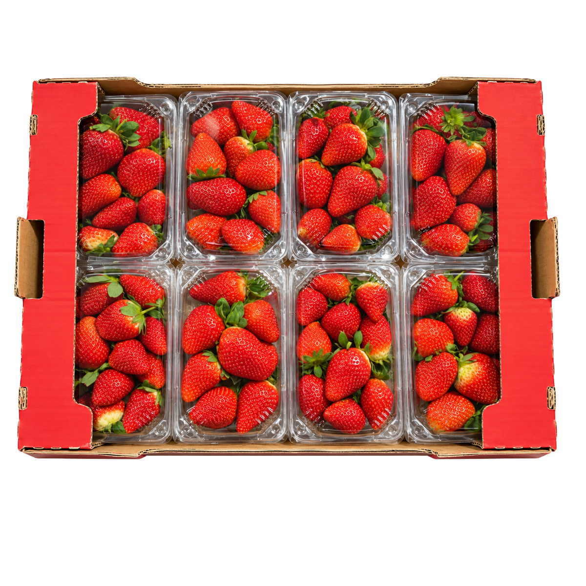 Fresh Strawberries 16x250g Box