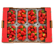 Fresh Strawberries 16x250g Box