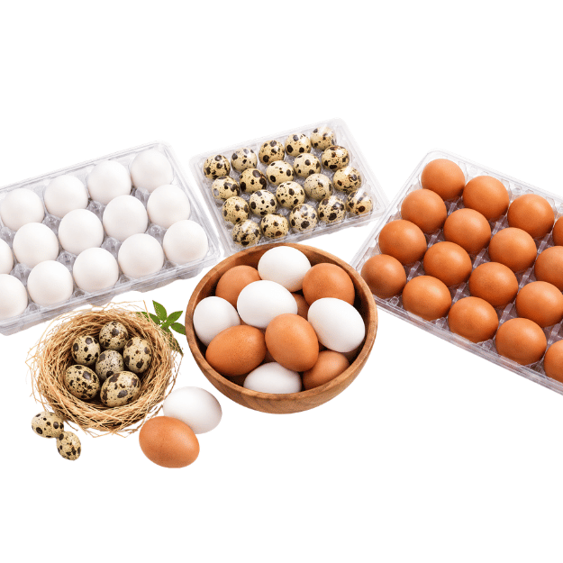 Eggs