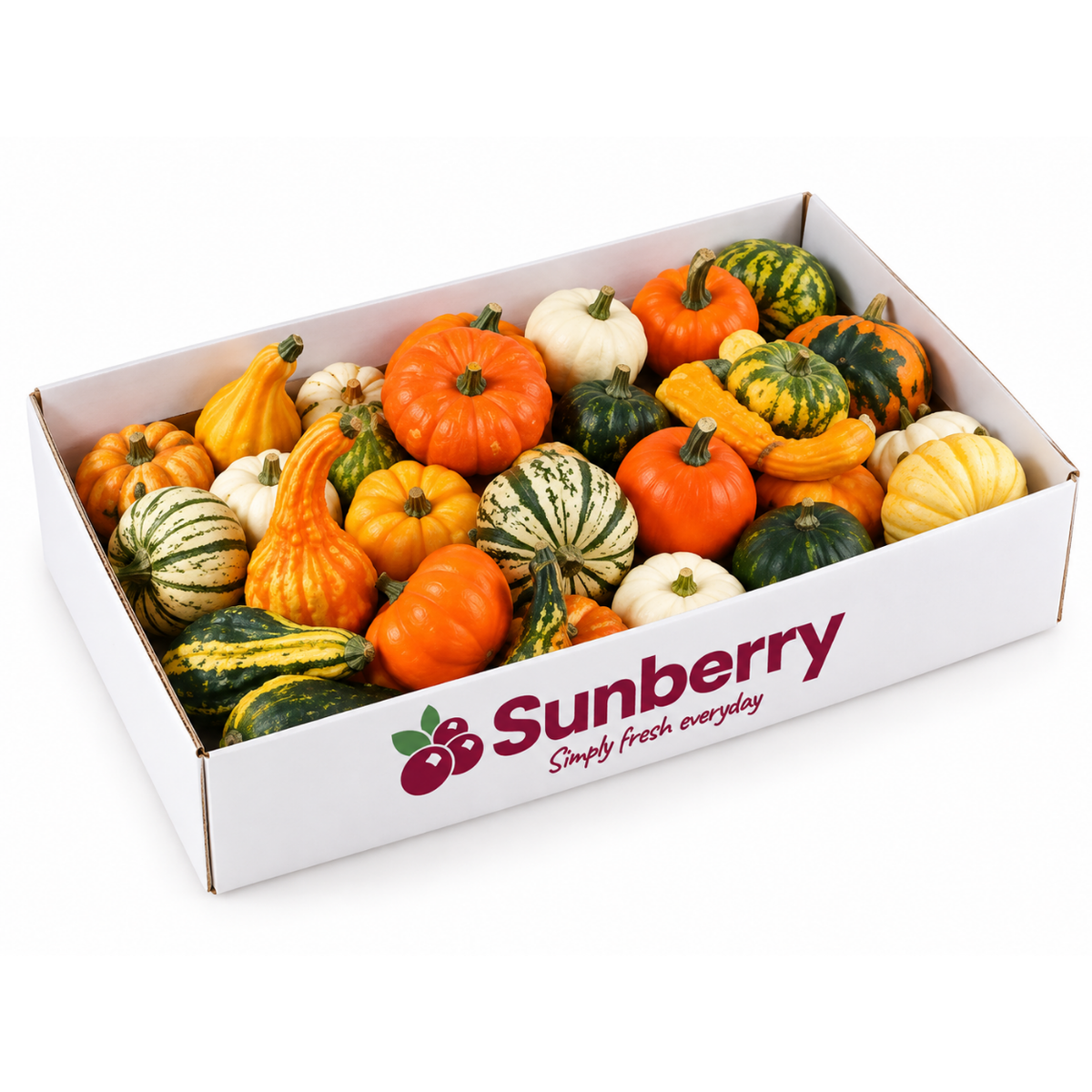 Sierfruit Mix Pumpkin Box