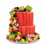 Signature Watermelon Cake 2 tier
