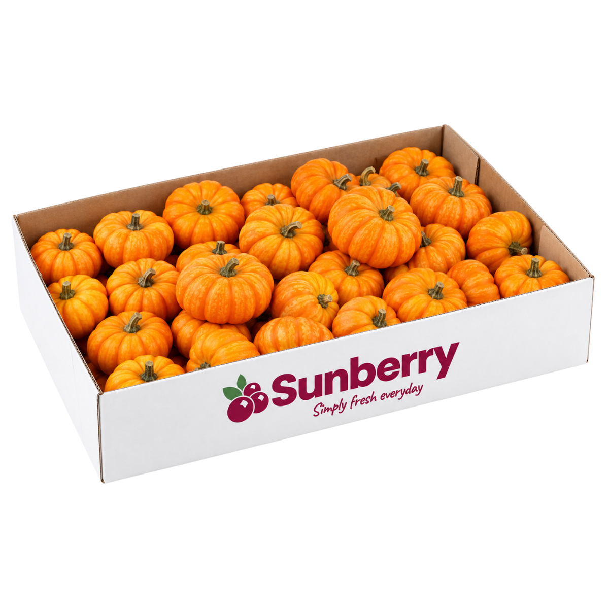 Spark Pumpkin Box