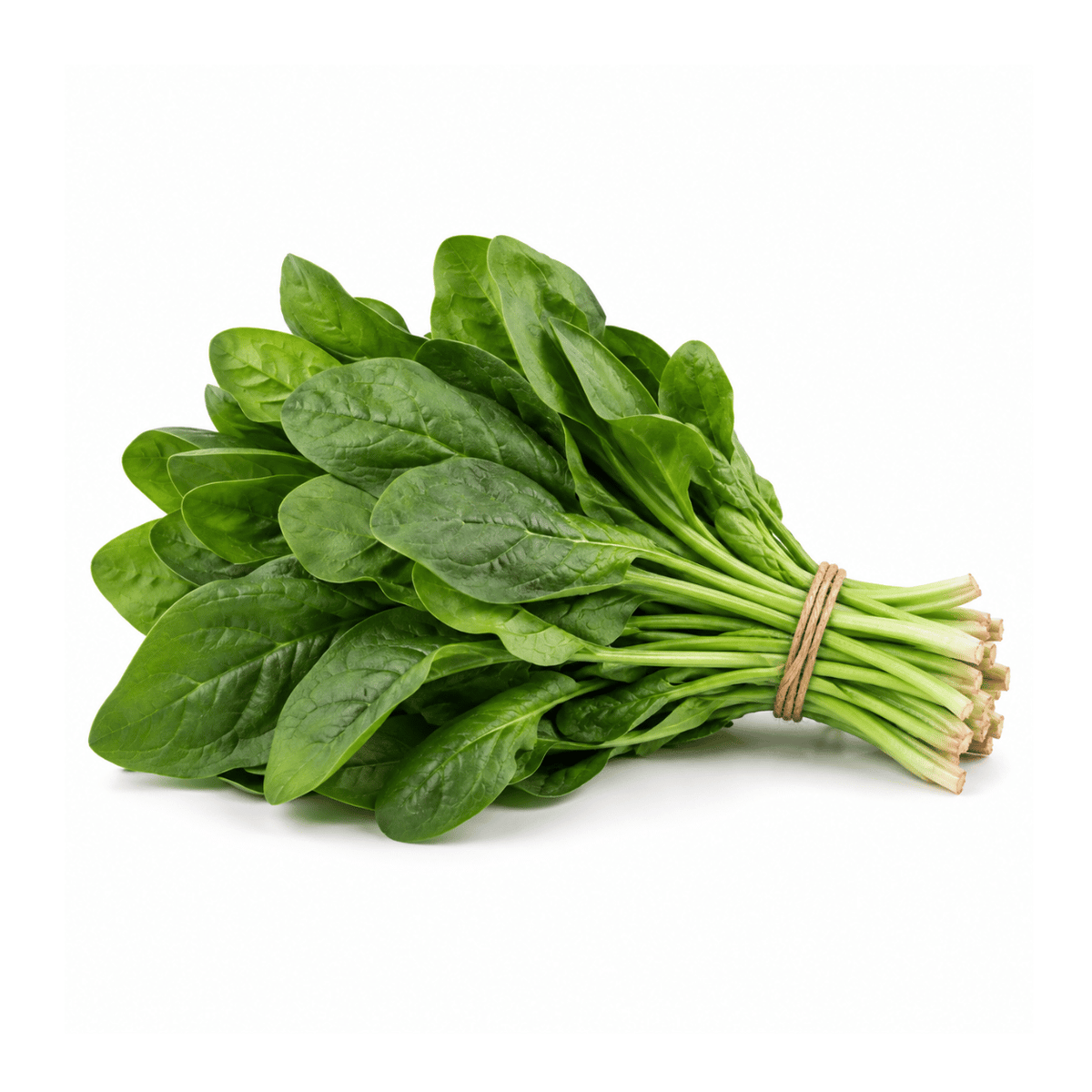 Fresh Spinach Leaves