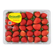 Fresh Strawberry Driscolls (850g)