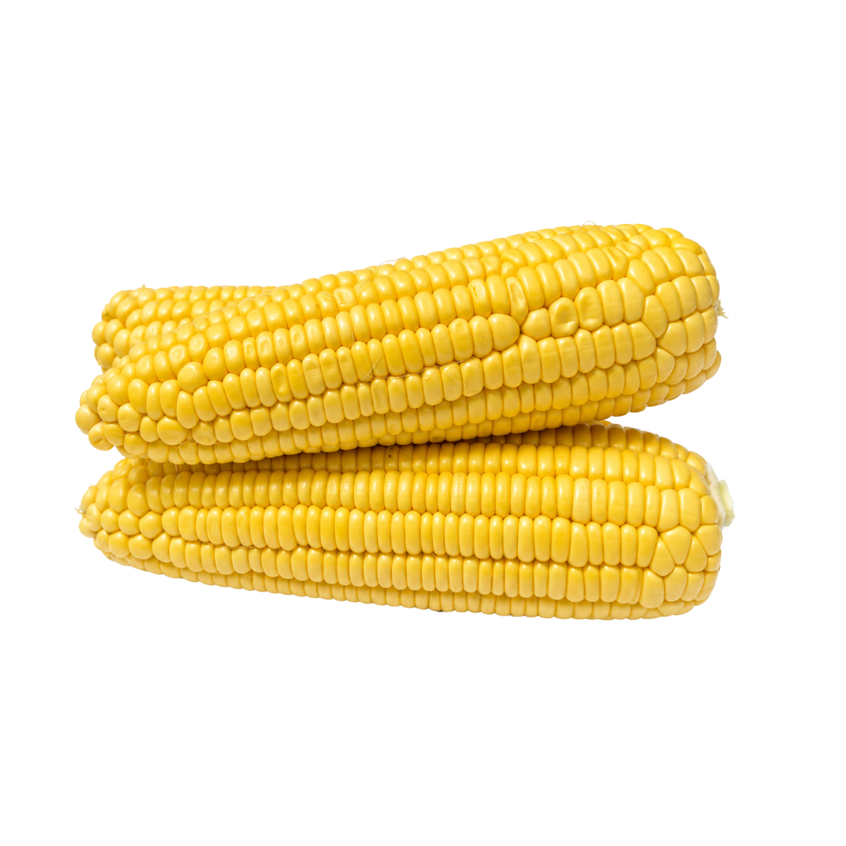 Fresh Sweet Corn on the Cob