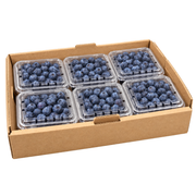 Fresh Blueberries 12×125g Box